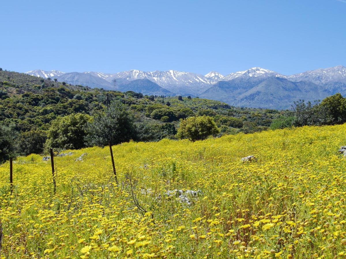 Villa Amvrosia Nr Kalives Crete Arménoi Zewnętrze zdjęcie